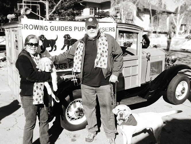 puppy raisers for guide dogs for the blind