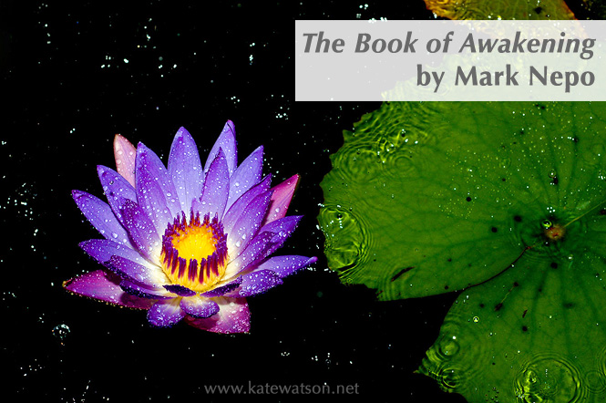 the book of awakening