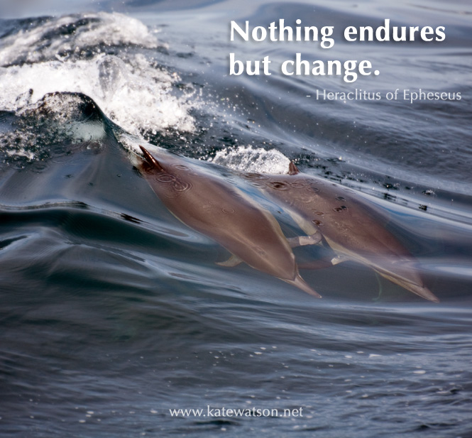 Nothing endures but change