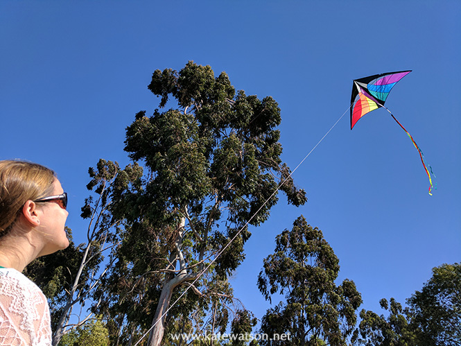 Flying a Kite
